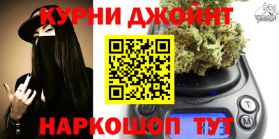 прущие грибы Гусев