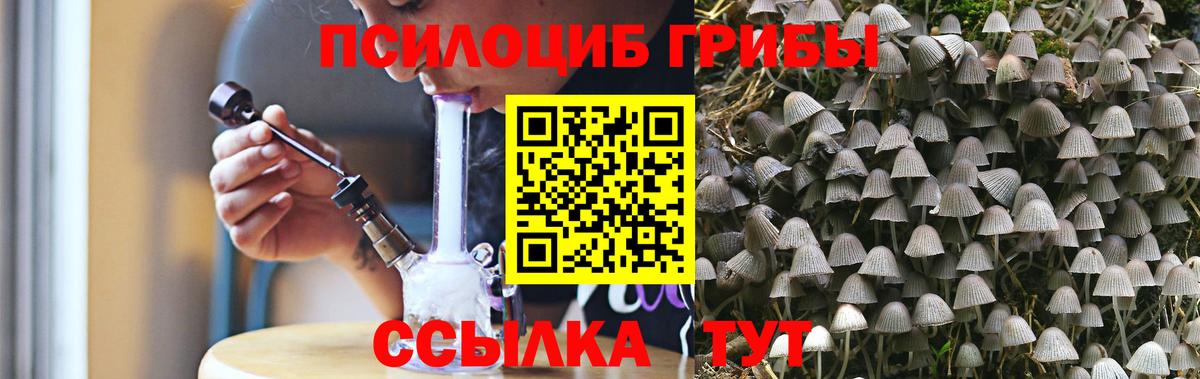 Новоалтайск  Псилоцибиновые грибы мухоморы  Псилоцибиновые грибы прущие грибы  Вход с VPN 